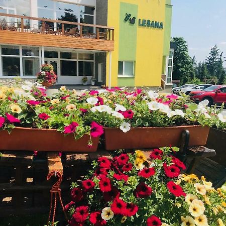 Hotel Lesana Стара-Лесна Экстерьер фото